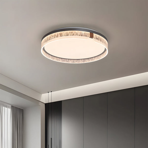 Modern Flush LED Ceiling Lights