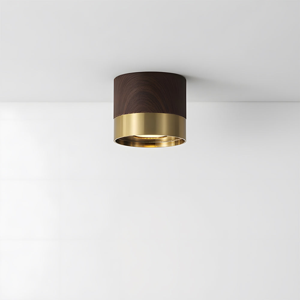 Small LED Ceiling Light