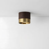 Small LED Ceiling Light
