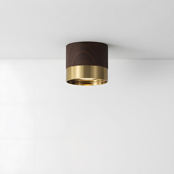 Small LED Ceiling Light