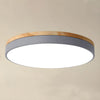 Modern Minimalist Round Flush LED Ceiling Lights