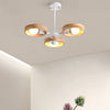 Modern Eco-Friendly Ceiling Lamp