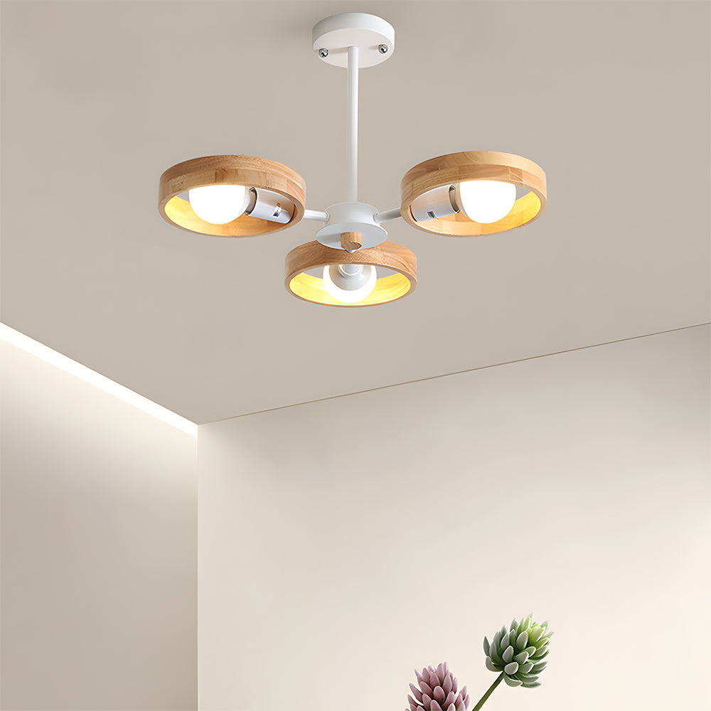 Modern Eco-Friendly Ceiling Lamp