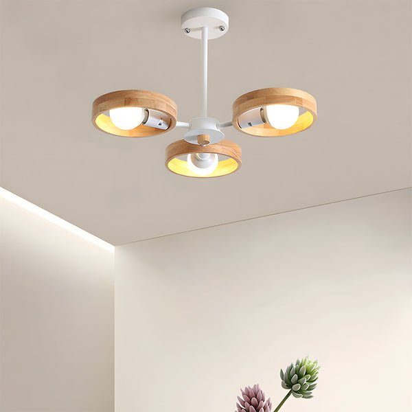 Modern Eco-Friendly Ceiling Lamp