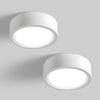 Set Of 2 Modern Hallway Flush Ceiling Mount Light