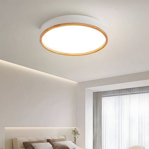 Modern LED Ceiling Lamp Energy Saving LED Lights Ceiling
