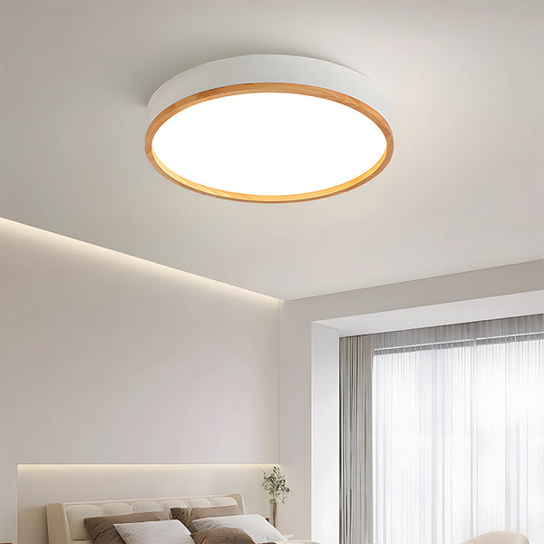 Modern LED Ceiling Lamp Energy Saving LED Lights Ceiling