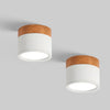 Set Of 2 Small Flush Ceiling Lighting Macaron Finish