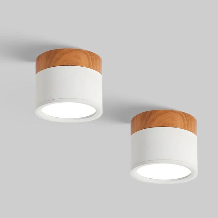 Set Of 2 Small Flush Ceiling Lighting Macaron Finish
