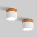 Set Of 2 Small Flush Ceiling Lighting Macaron Finish