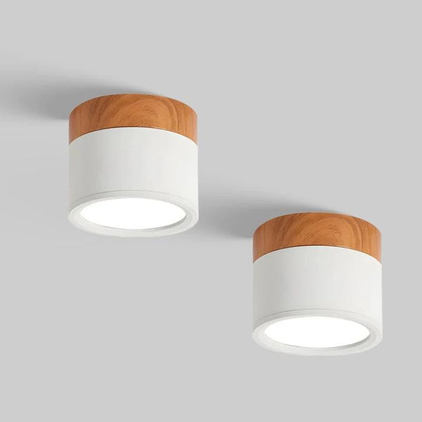 Set Of 2 Small Flush Ceiling Lighting Macaron Finish
