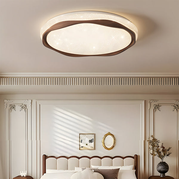 Modern Ceiling Lights Flush Ceiling Mount Living Room Light