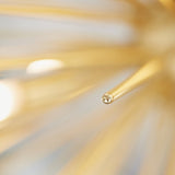 Alexus 9-Light Sputnik Chandelier