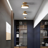 Modern LED Ceiling Light Copper Lamp