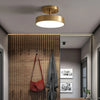 Modern LED Ceiling Light Copper Lamp