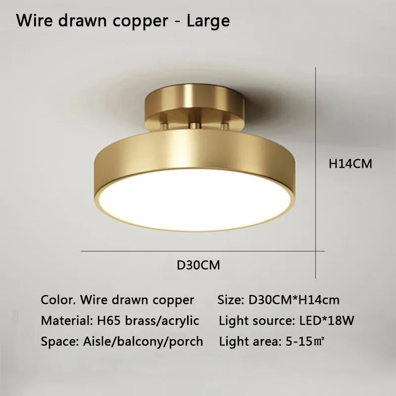 Modern LED Ceiling Light Copper Lamp