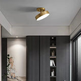 Modern LED Ceiling Light Copper Lamp