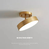 Modern LED Ceiling Light Copper Lamp