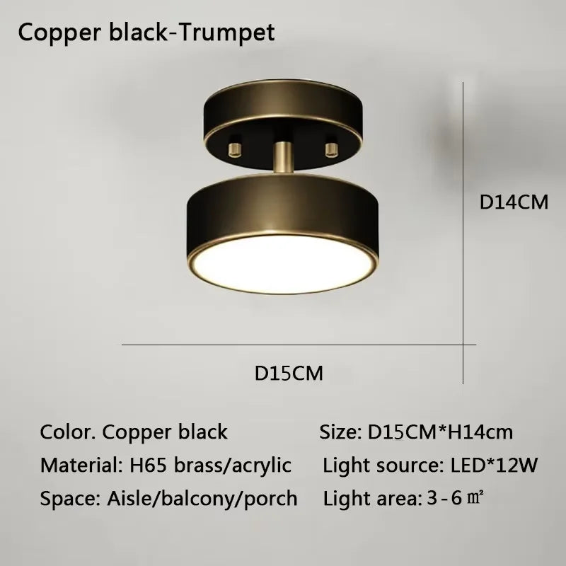 Modern LED Ceiling Light Copper Lamp
