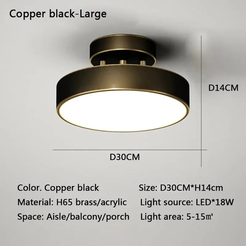 Modern LED Ceiling Light Copper Lamp