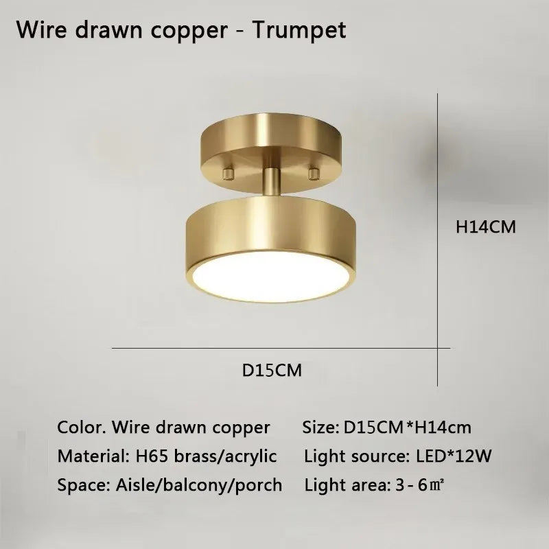 Modern LED Ceiling Light Copper Lamp