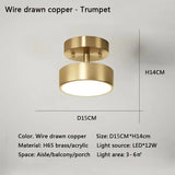 Modern LED Ceiling Light Copper Lamp
