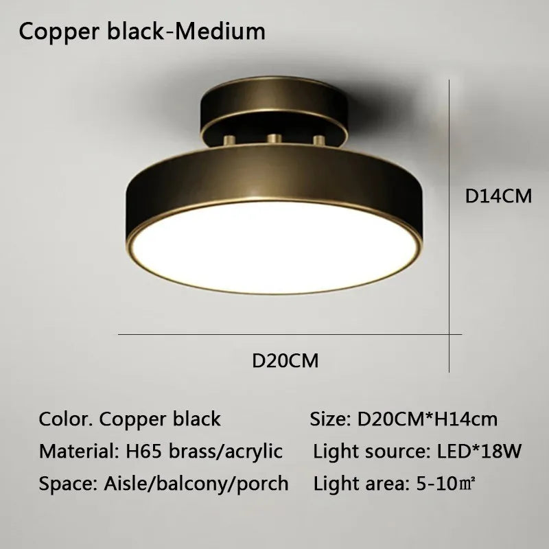 Modern LED Ceiling Light Copper Lamp