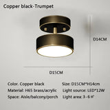 Modern LED Ceiling Light Copper Lamp
