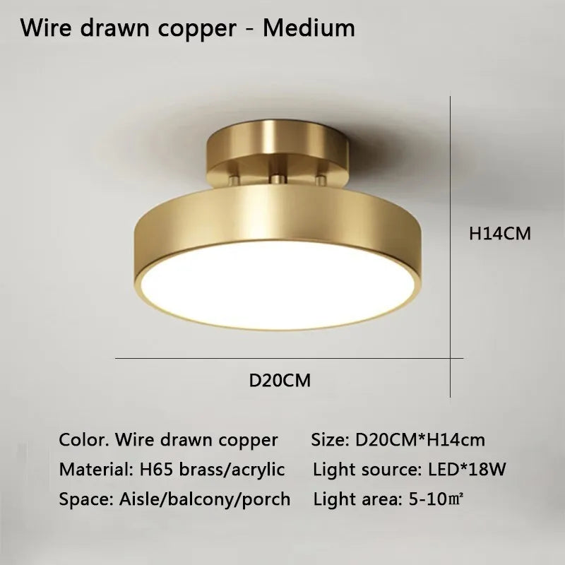 Modern LED Ceiling Light Copper Lamp