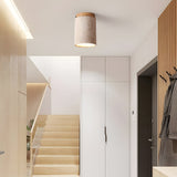 Cylindrical Ceiling Lamp